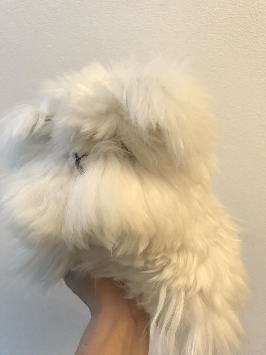 アルパカ毛のぬいぐるみ アンゴラウサギ ネコ もふもふ ふあふあ アルパカ の落札情報詳細 ヤフオク落札価格情報 オークフリー スマートフォン版