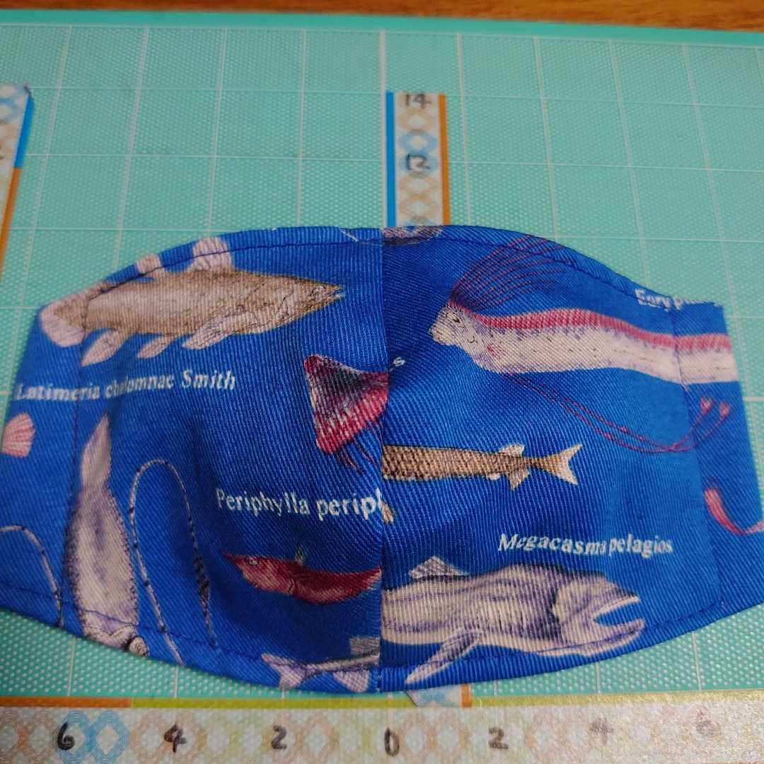 新品 小学生 深海魚 ダイオウイカ リュウグウノツカイ シーラカンス インナーマスク の落札情報詳細 ヤフオク落札価格情報 オークフリー スマートフォン版