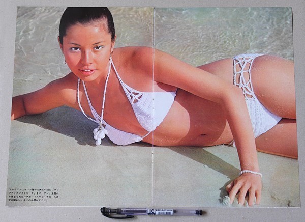 ナンシー・チェニー(水着) 切り抜き4p/70年代 モデル 女優 iの落札情報