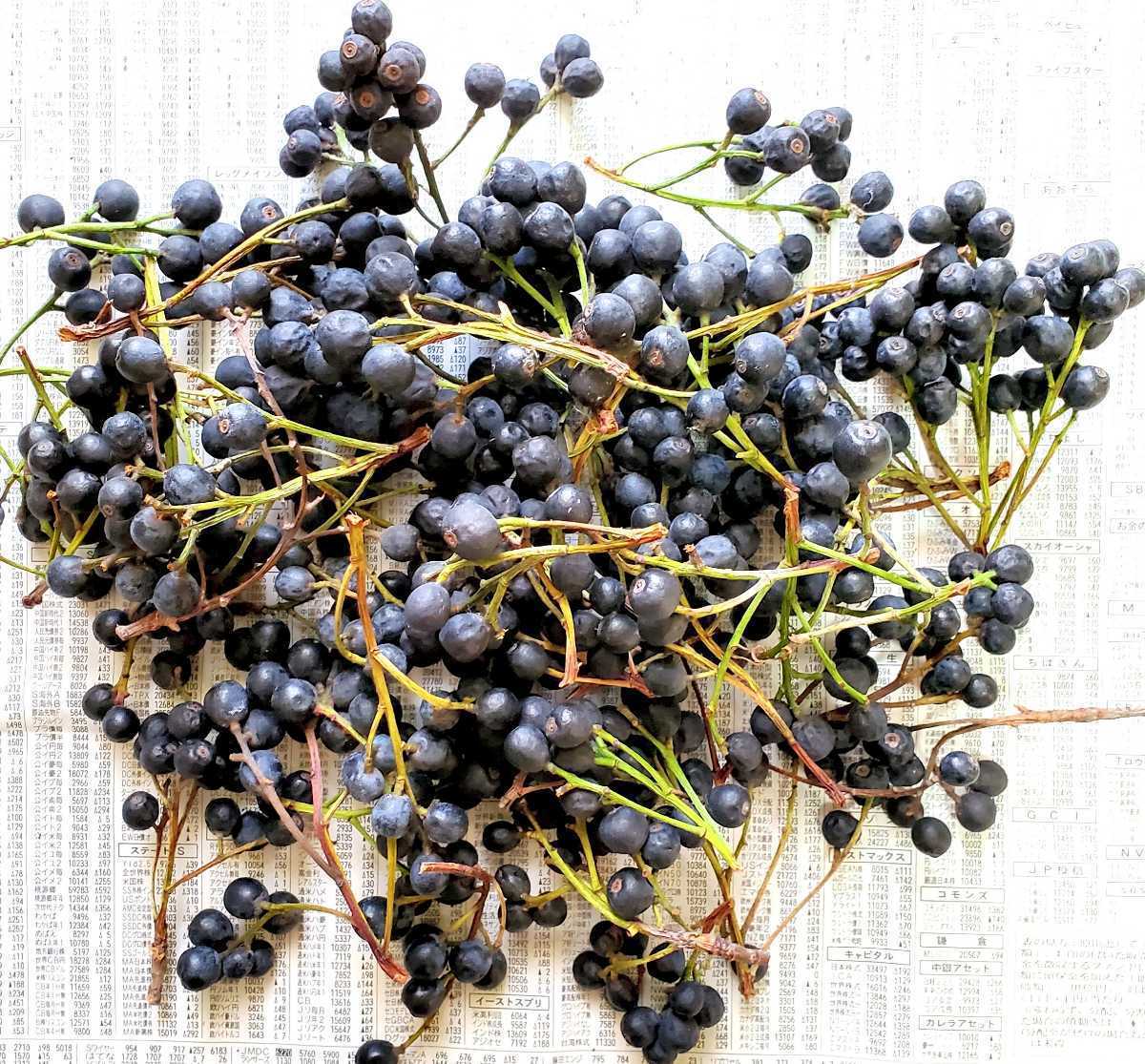 新品 シャリンバイ 実 400g リース スワッグ ドライフラワー ハンドメイド 素材 ハーバリウム 木の実 素材 昨年秋採取 の落札情報詳細 ヤフオク落札価格情報 オークフリー