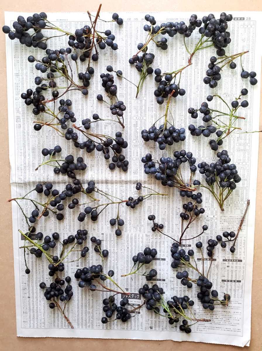 新品 シャリンバイ 実 400g リース スワッグ ドライフラワー ハンドメイド 素材 ハーバリウム 木の実 素材 昨年秋採取 の落札情報詳細 ヤフオク落札価格情報 オークフリー スマートフォン版