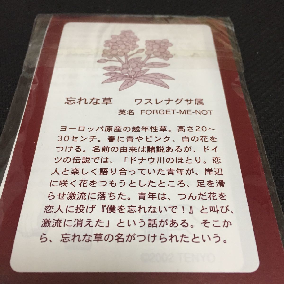 忘れな草のコイン 不思議な記憶のマジック 手品 マジック テンヨー Tenyo
