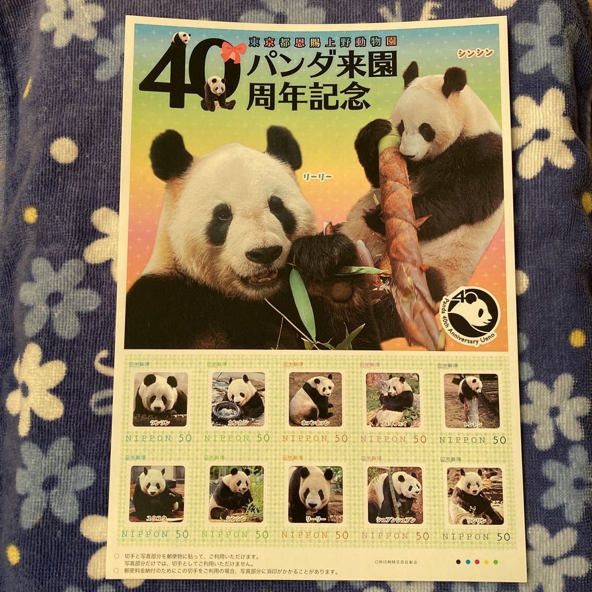 リーリーとシンシン 上野動物園 ポストカード 本 思い出をありがとう！ 上野のパンダ リーリーとシンシン