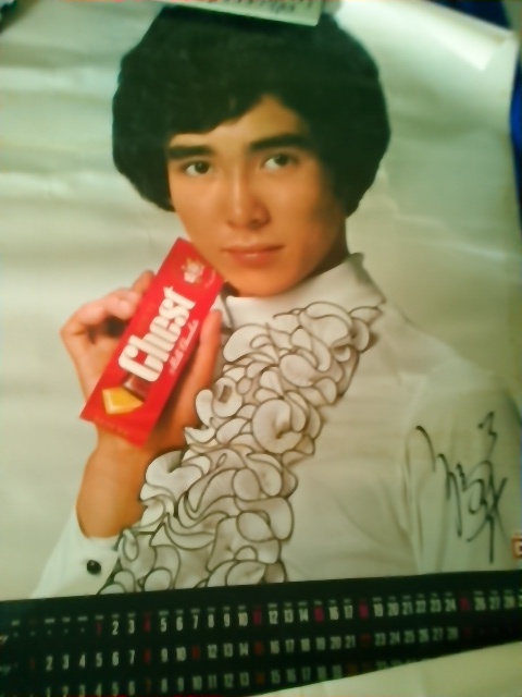 郷ひろみ入手困難カレンダーバックナンバー6冊セット2012-2017年