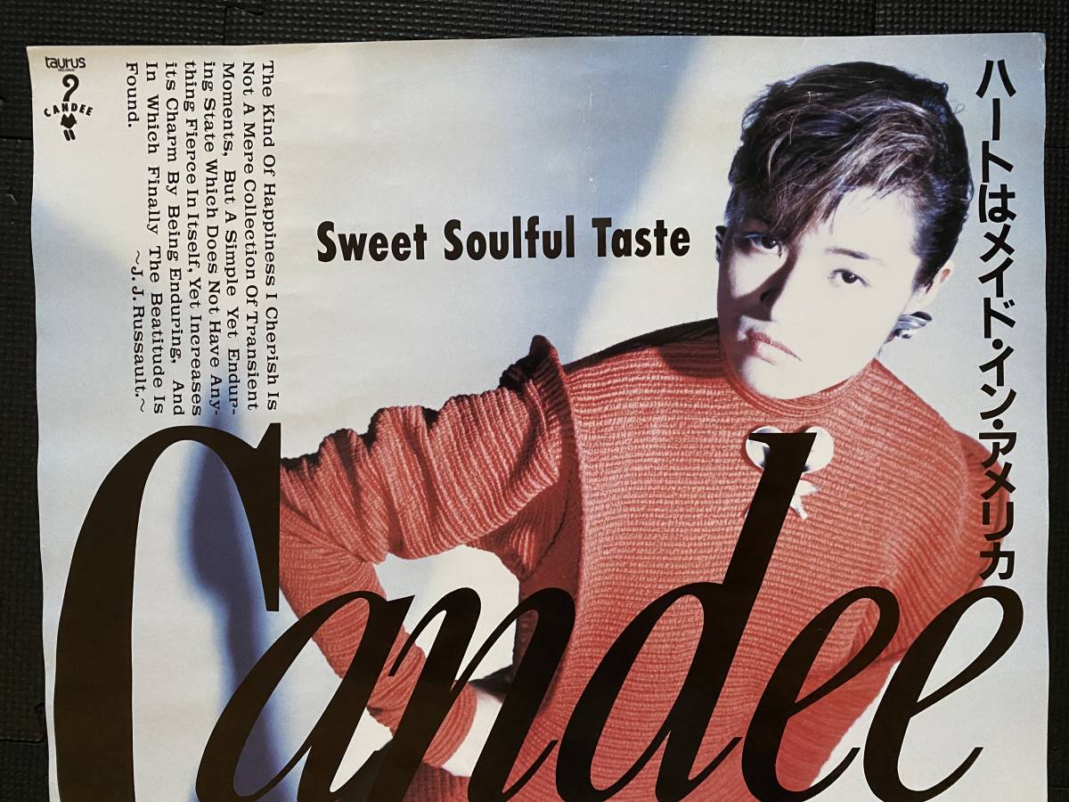 【見本盤】Candee(高尾のぞみ)「Candee」LPレコード Amazon.co.jp: Candee: ミュージック