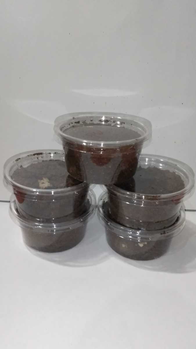 ムックの最近30日の オークション落札価格一覧3ページ目 オークフリー スマートフォン版