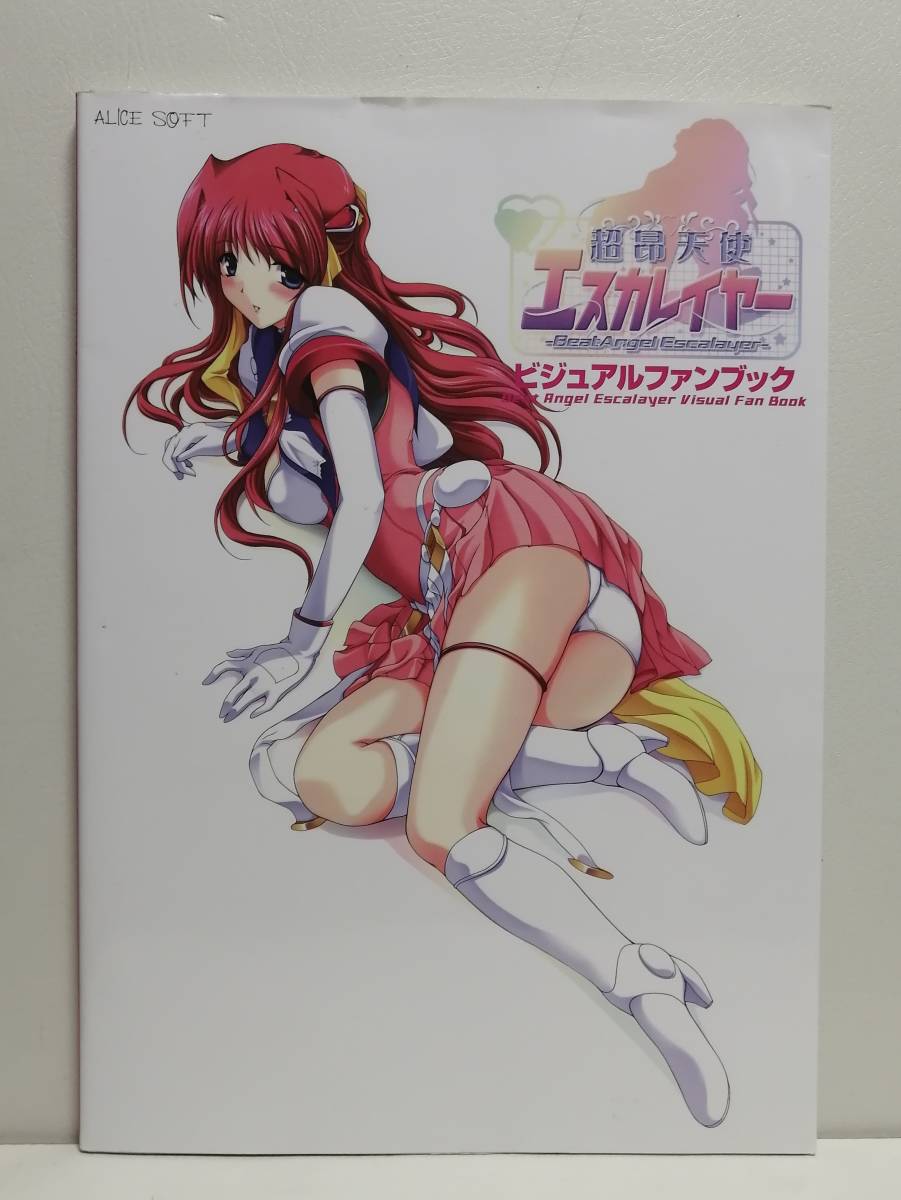 ビジュアルファンブックの最近30日の オークション落札価格一覧 オークフリー スマートフォン版