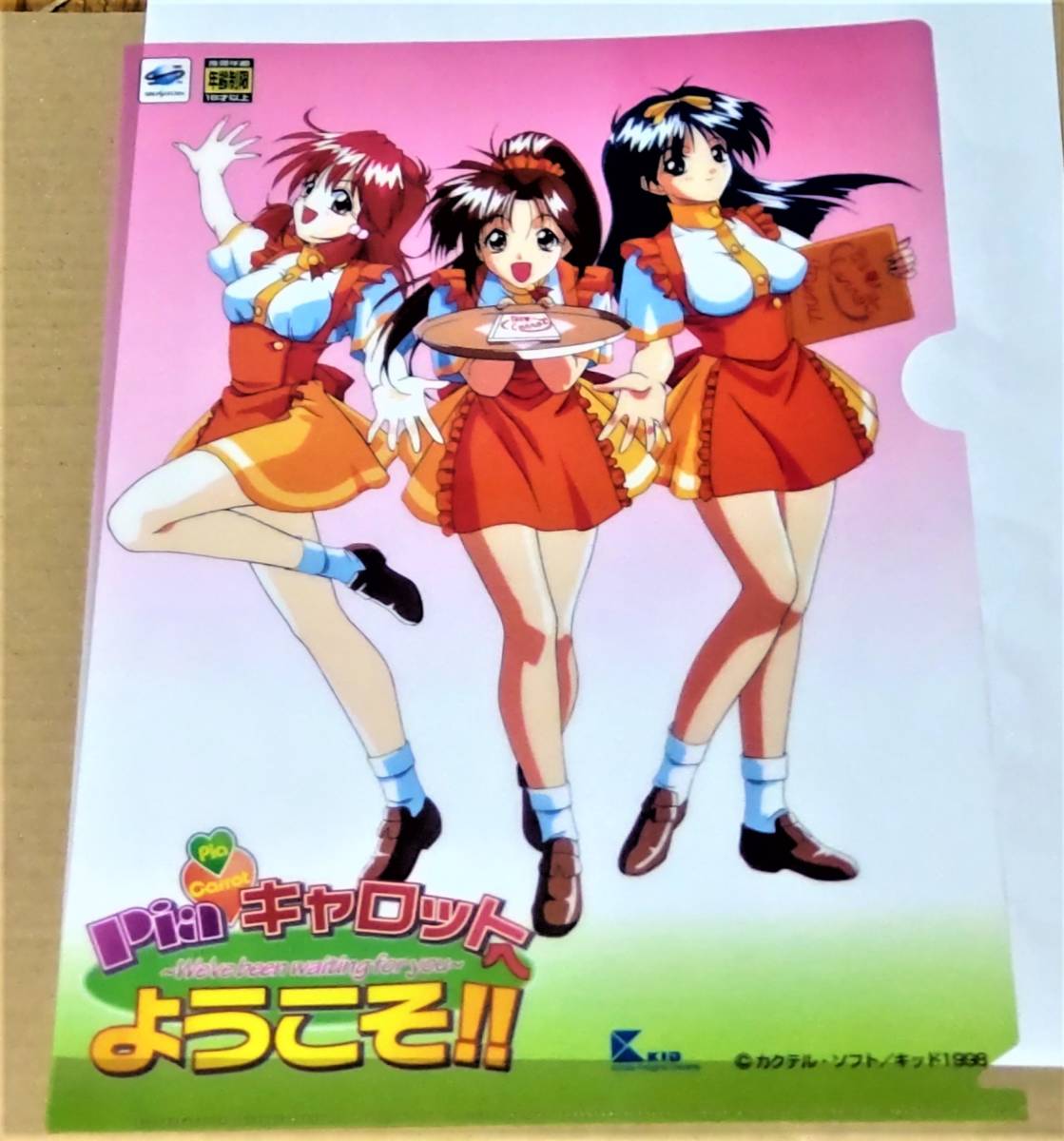 森原さとみ コスチュームコレクション 14枚組 Piaキャロットへ