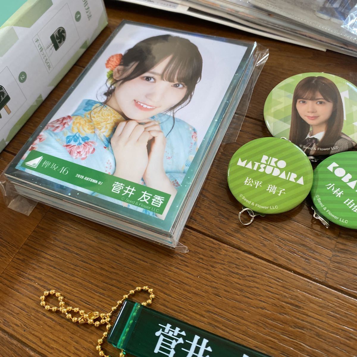 欅坂46くじ ラバーチャーム 20個×2箱 欅坂46くじ ラバーチャーム 20個×2箱