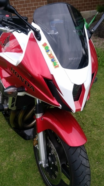 CB1300SB スーパーボルドール アイラインカウル Ver2 （白ゲルコート
