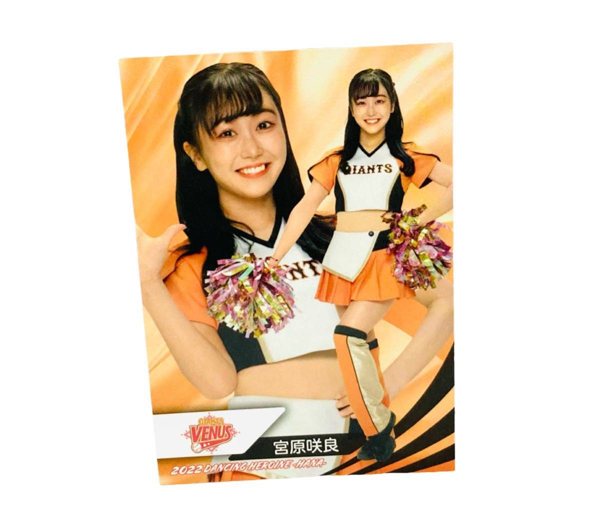 土原一花 BBM チアリーダー 2023 舞 ジャイアンツ チェキ BBM チアリーダー 直筆 サイン カード VENUS ヴィーナス 土原一