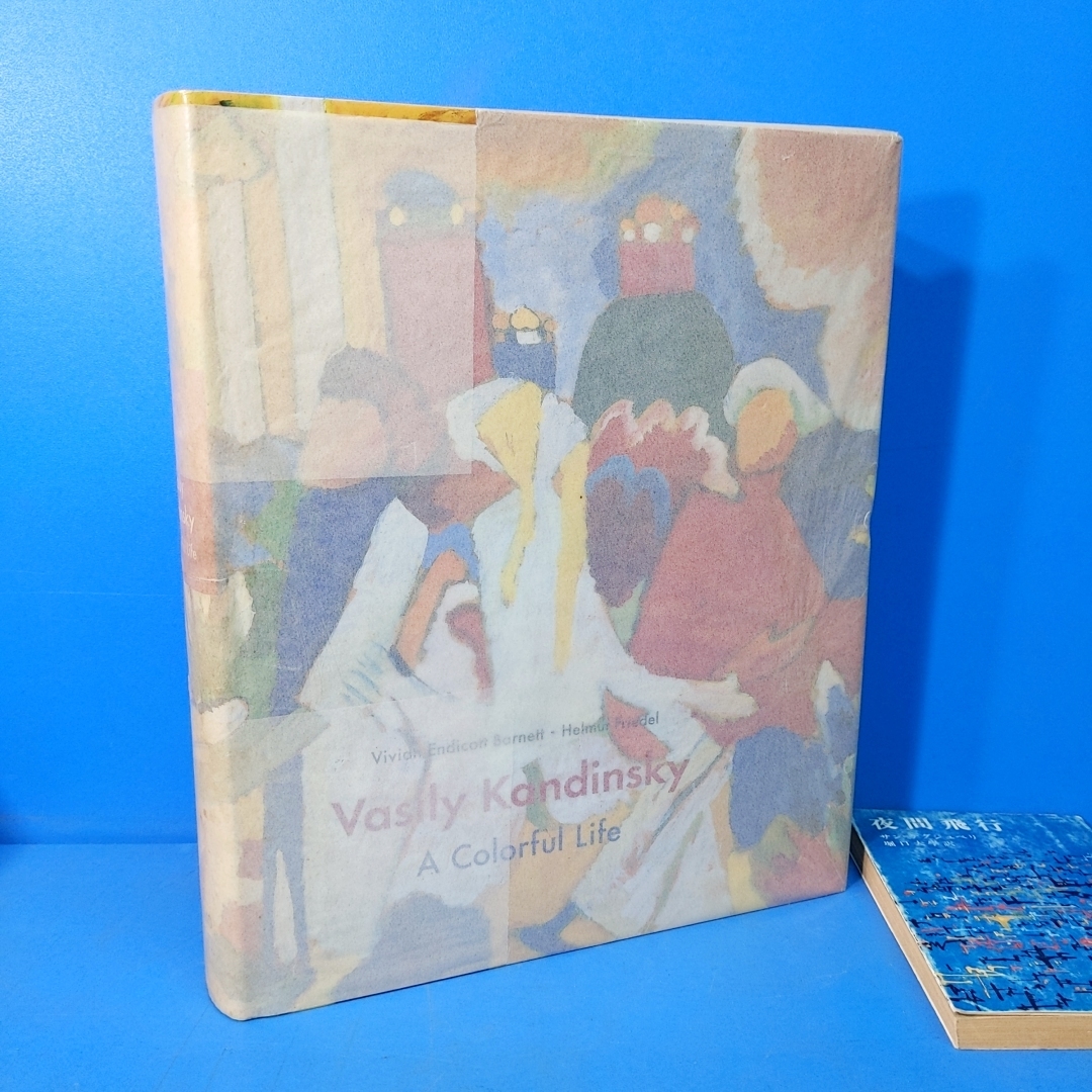 【美品】有岡ゆい/Colorful life CMG-009 Ｍ11 DVD] Colorful Life 有岡ゆい