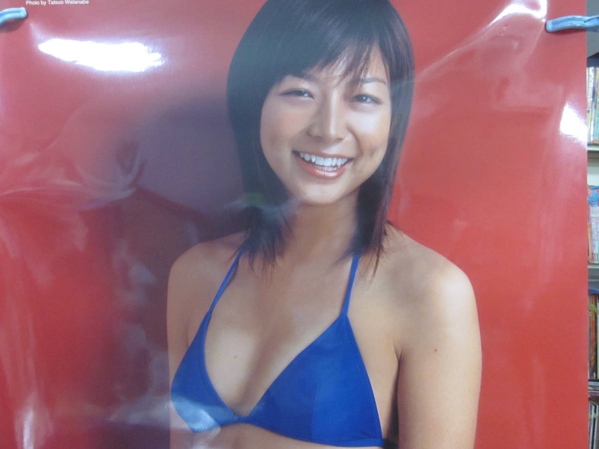 コメント必須【未使用品】相武紗季ポスター ★プレイボーイ等身大ポスター コメント必須【未使用品】相武紗季ポスター ☆プレイボーイ等身大ポスター