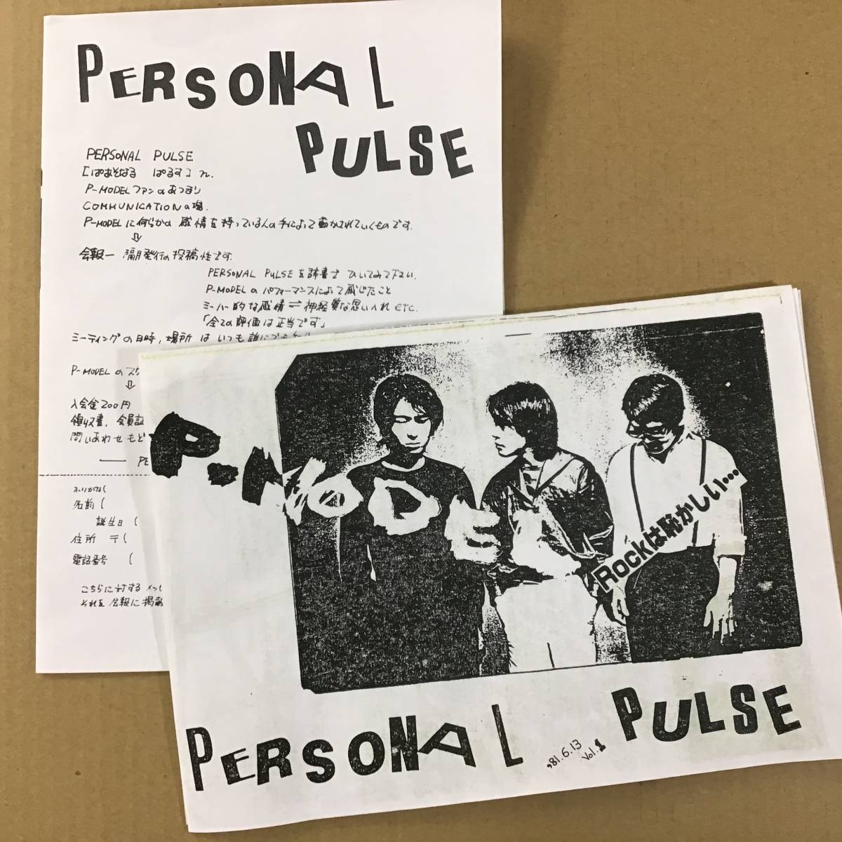 平沢進P-MODEL ファンクラブ会報 ヒラサワバイパスVol.13 平沢進P