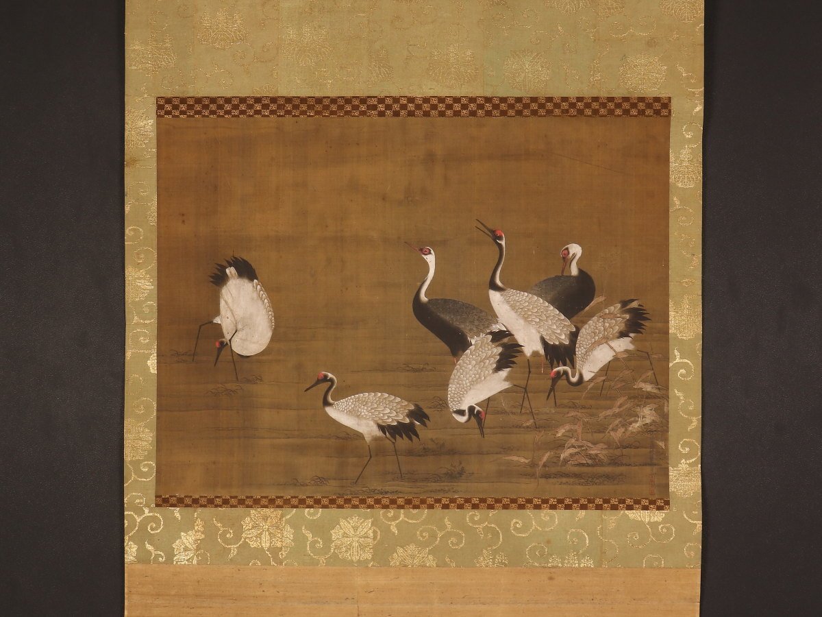No4041 掛軸　寺田隆華　白鷹図　着色絹本　紙箱付　花鳥画　古美術　送料無料 No4041 掛軸 寺田隆華 白鷹図 着色絹本 紙箱付 花鳥画 古美術