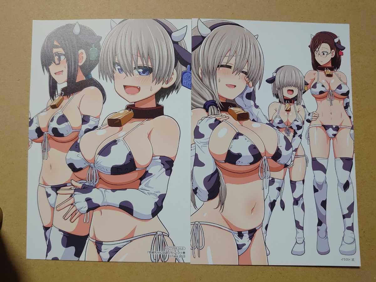 目立った傷や汚れなし】宇崎ちゃんは遊びたい!(11)アニメイト特典