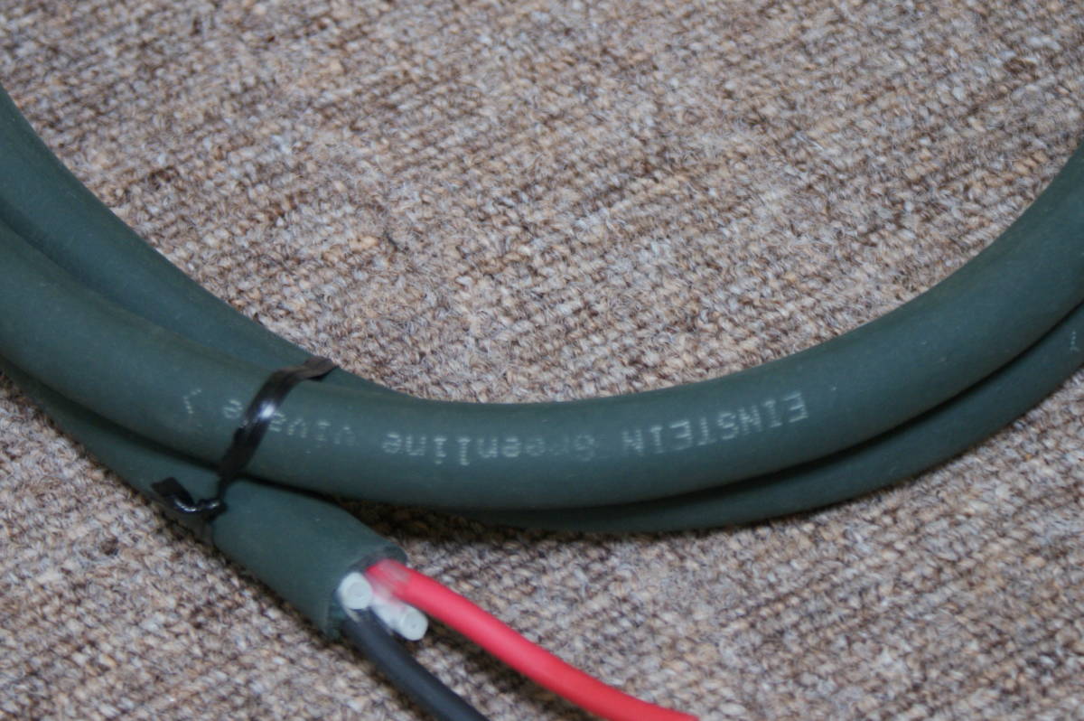 Einstein アインシュタイン GREENLINE ペア 約1.5m 得価，正規品