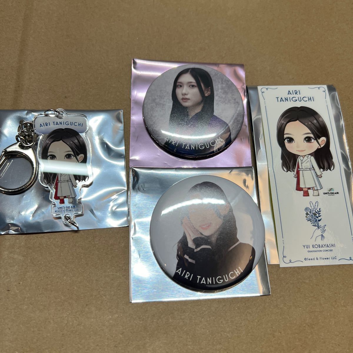 欅坂46 日向坂46 ラバーチャーム缶バッチ 乃木坂欅坂日向坂缶バッチカード大量 遠ざかっ