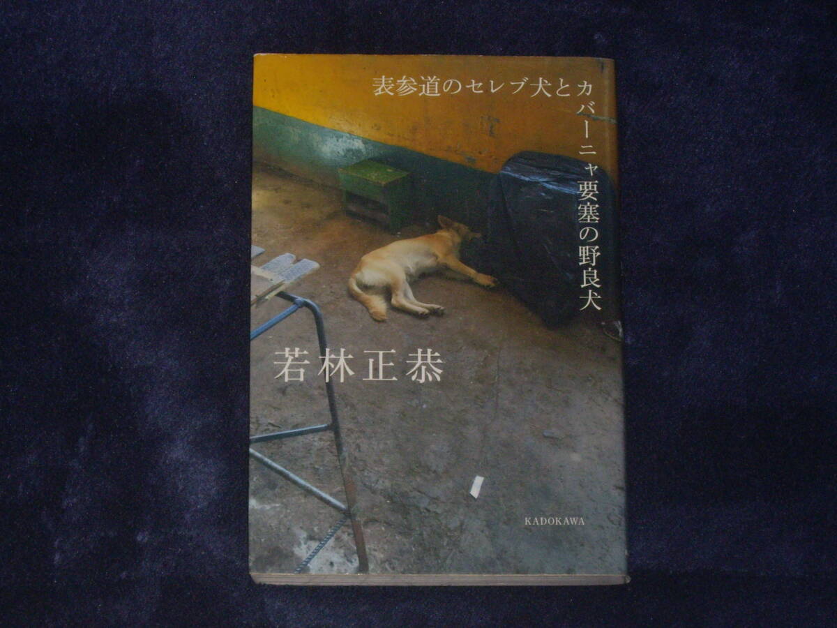 オードリー 若林正恭「表参道のセレブ犬とカバーニャ要塞の野良犬 