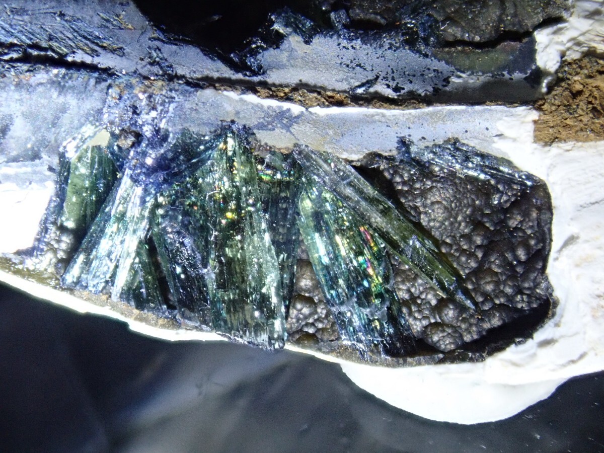 希少 ヴィヴィアナイト シェルフォッシル 藍鉄鉱 貝化石 原石 標本