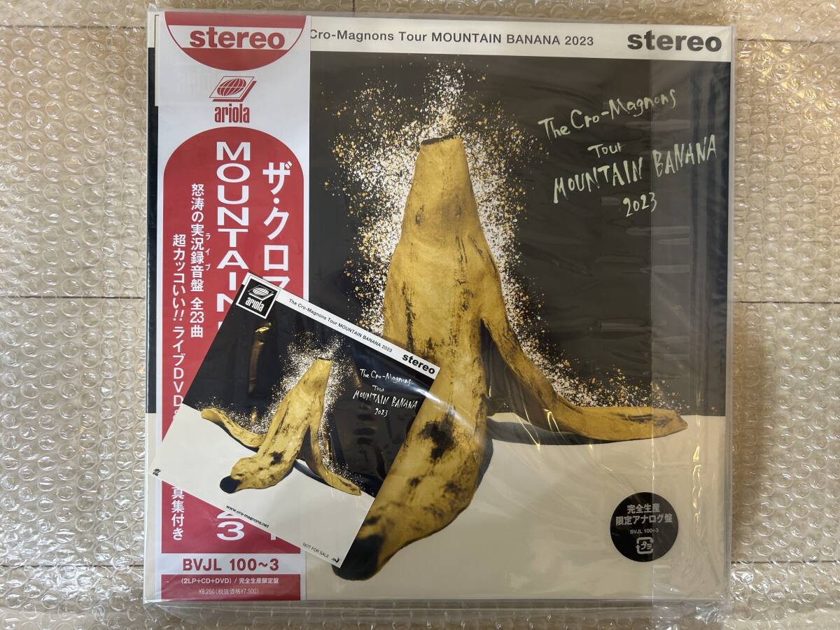未使用】ザ・クロマニヨンズ ツアー MOUNTAIN BANANA 2023 完全生産 