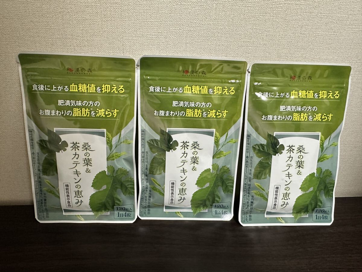 桑の葉&茶カテキンの恵 120粒入り 4袋 【公式通販】