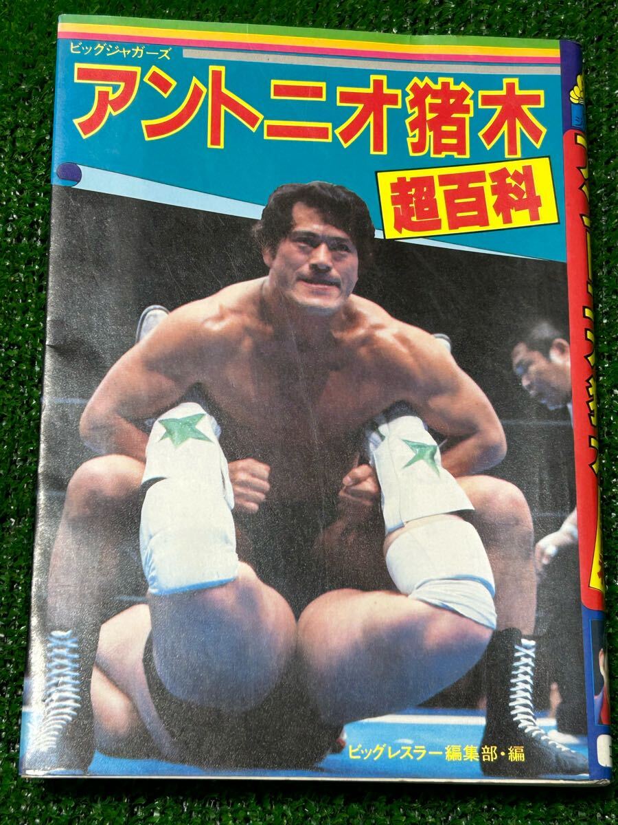 ビンテージ　ハルク・ホーガン　WWE　WWF 1991年　一番 GIJOE ビンテージ ハルク・ホーガン WWE WWF 1991年 一番 GIJOE（2025