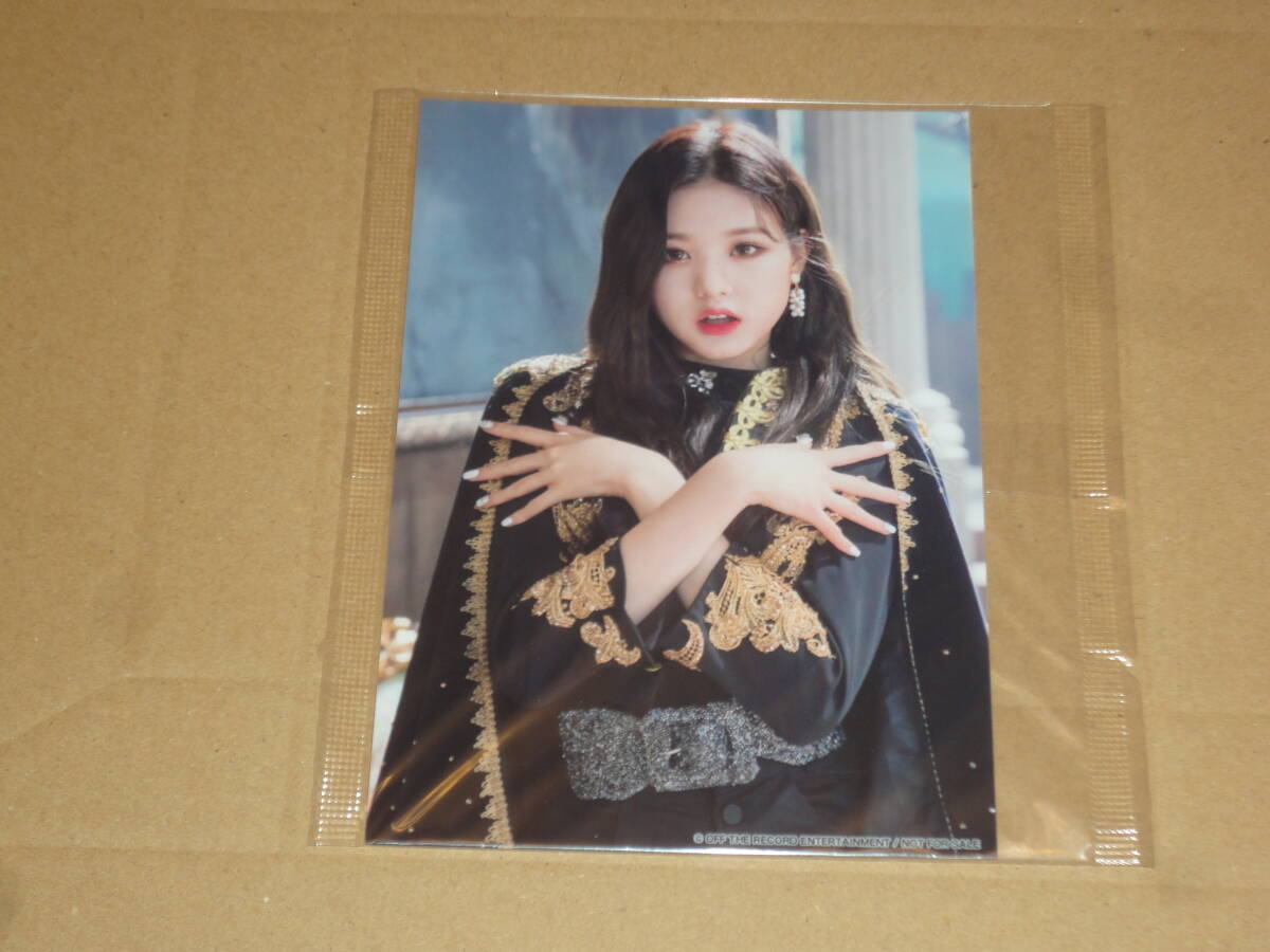 ウォニョンサイン 爆弾) アイブ ウォニョン(WONYOUNG・チャンウォ