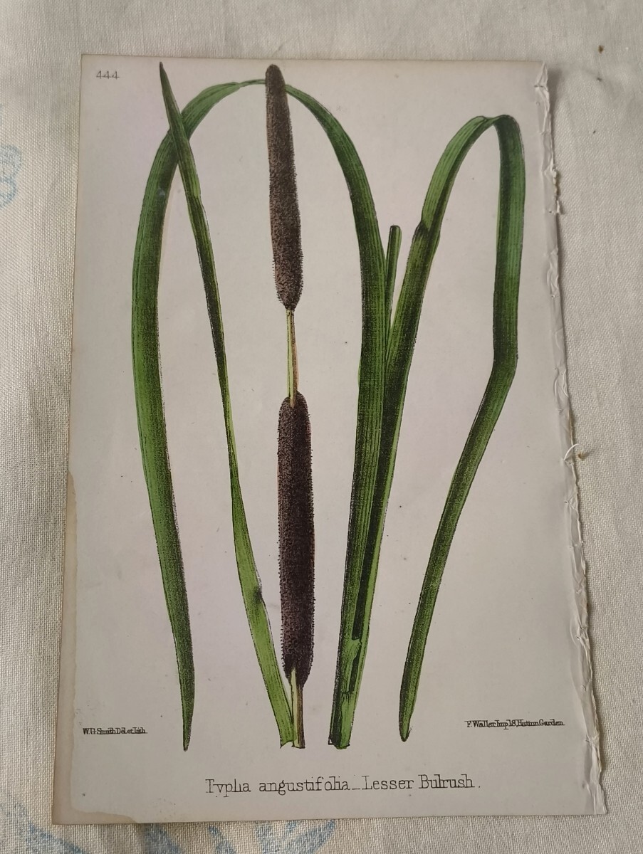 石阪春生　鉛筆画 束ねた髪　155/170 Yahoo!オークション - 石坂春生 金属製 絵画 鉛筆デッサン 鉛筆