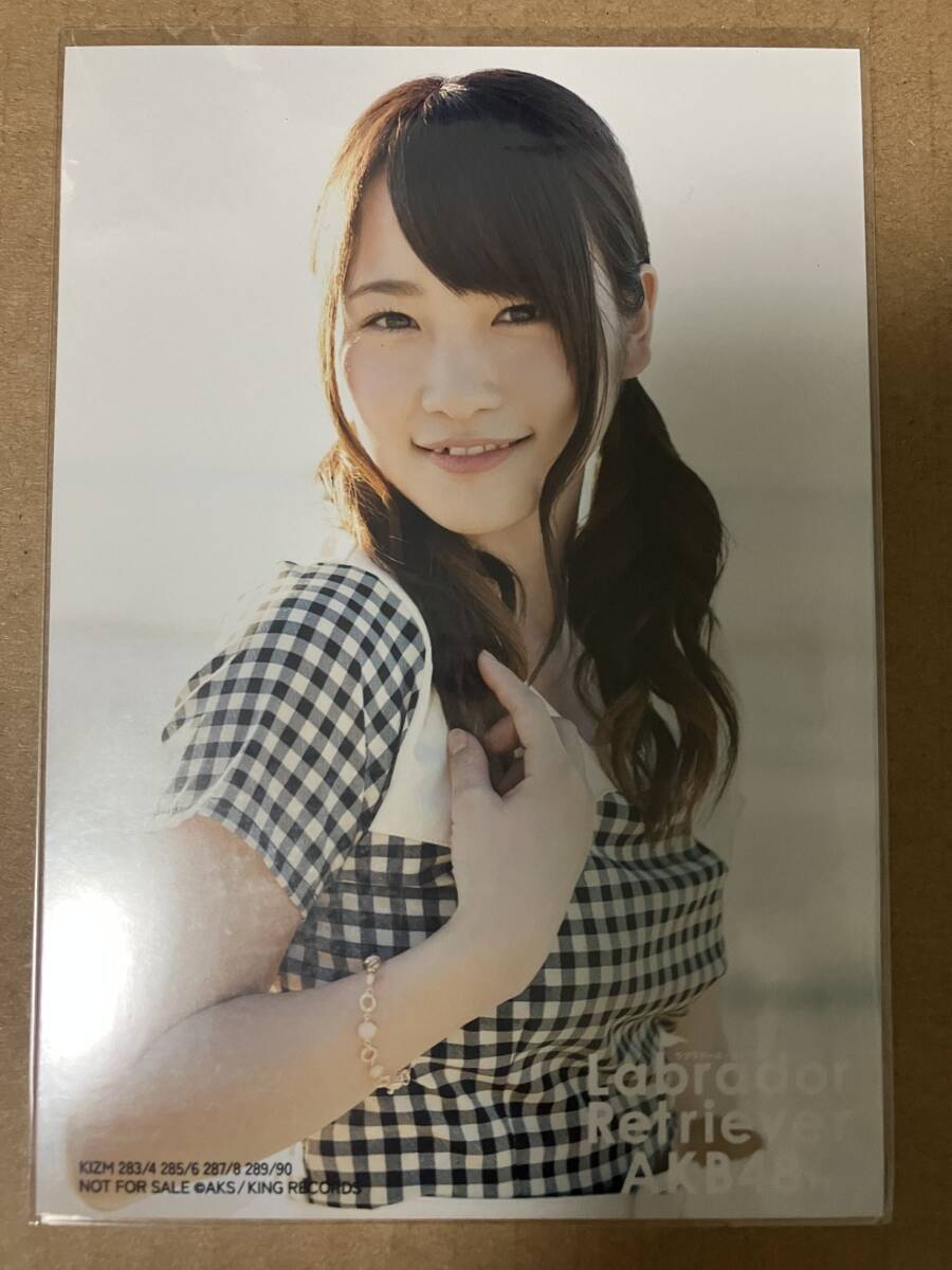 AKB48 ラブラドールレトリバー 店舗特典 7枚公式生写真 まとめ売り