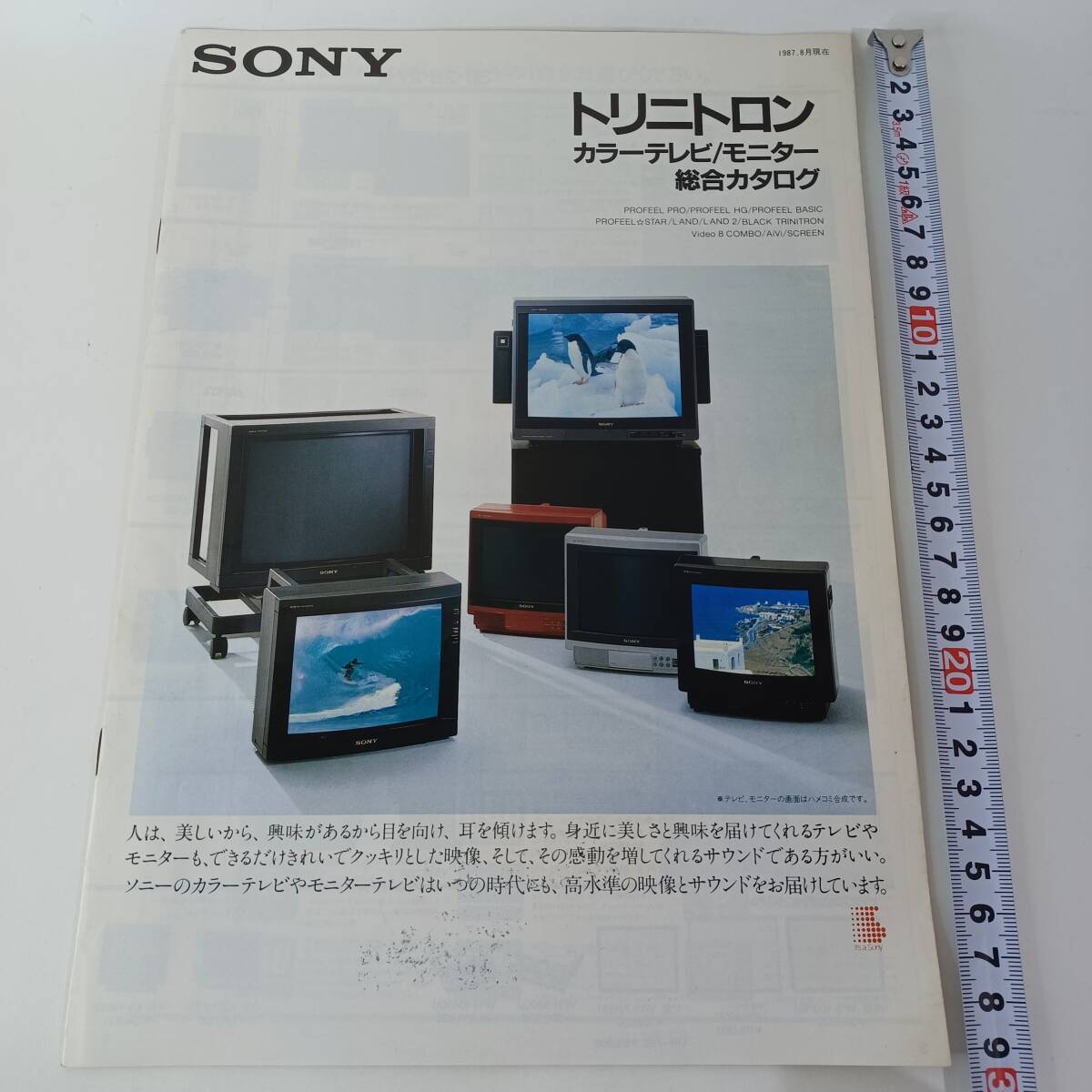 中古】中古 ソニー SONY ブラックトリニトロン 21型 ブラウン管テレビ