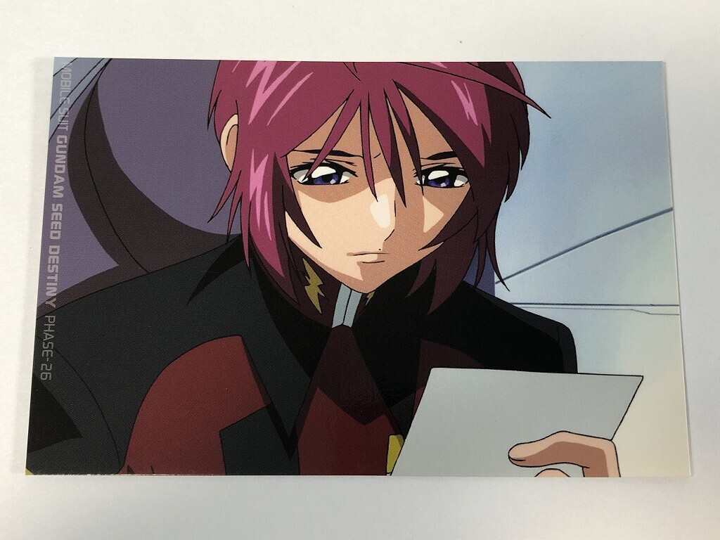 機動戦士ガンダム SEED DESTINY ヒロイン ガンダムW フォト