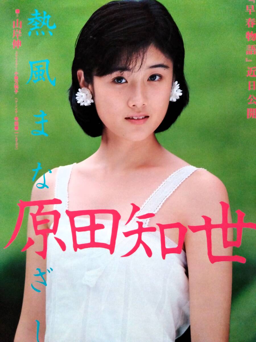 誘惑者(1989)□VHS/秋吉久美子/草刈正雄/原田貴和子/磯部勉/石橋