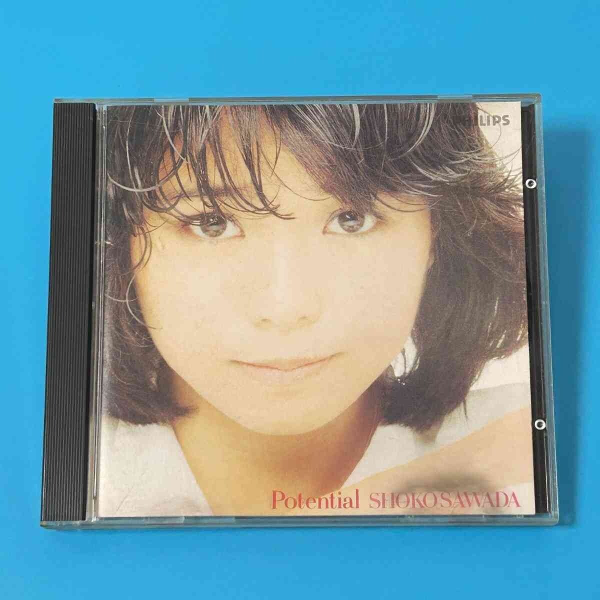 お宝 サイン入り 沢田聖子写真集 potential 水着 ビキニの落札情報詳細