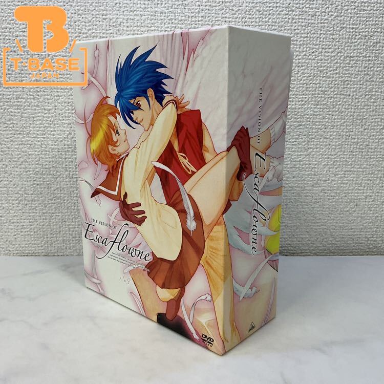 送料込】劇場版 エスカフローネ セル画 神崎ひとみ 天空の 
