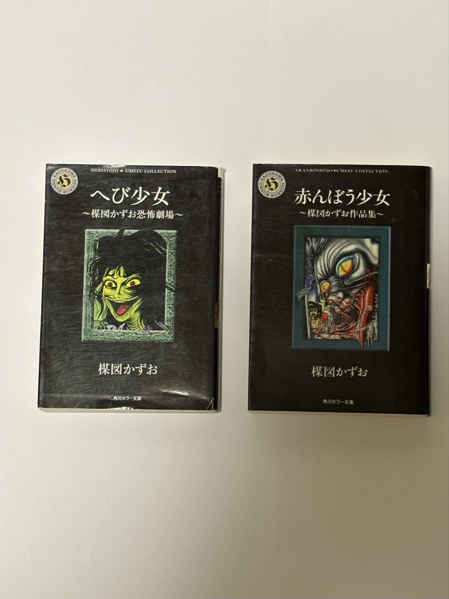 漫画530 楳図かずお 「イアラ」 異色短編傑作選 (小学館） 豪華愛蔵版