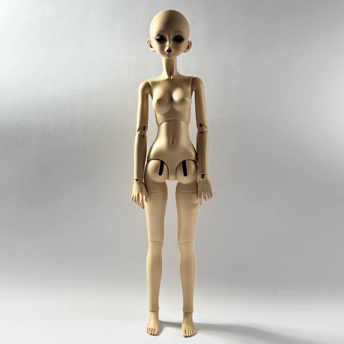 球体関節人形 単眼ドール エルフ耳 1／6 ドール 素体 set メイク済の
