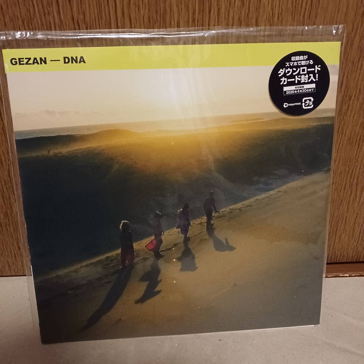 レコード GEZAN-DNA アナログ