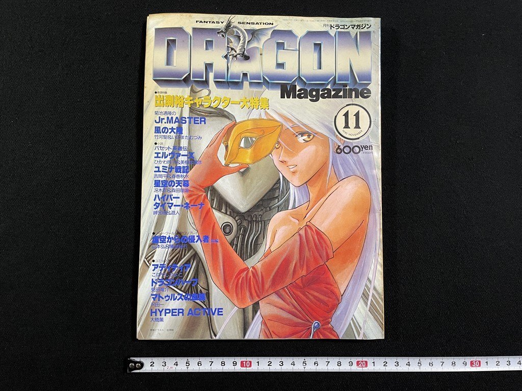 23か4896 月刊ドラゴンマガジン 1993年 9月～12月 4冊セット 富士見