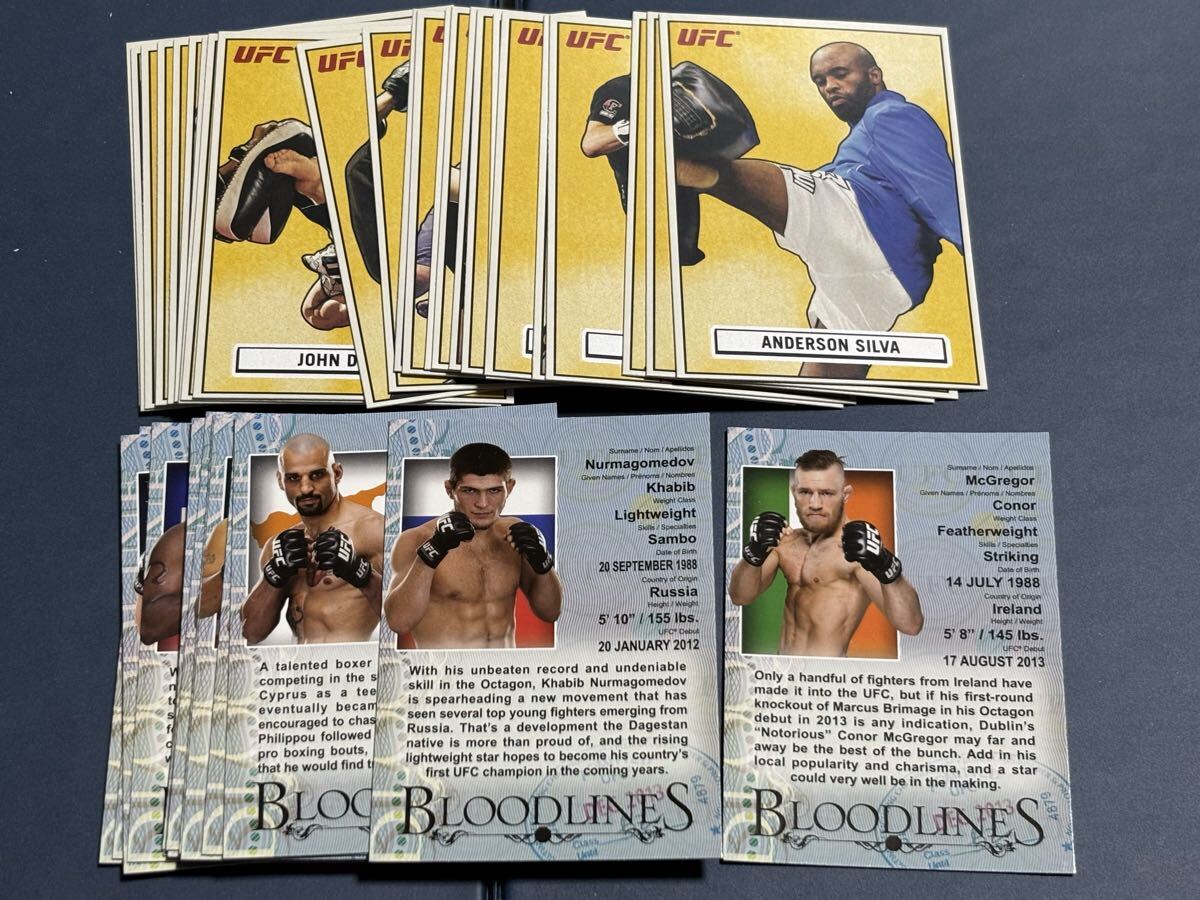 コナー・マクレガー 直筆サイン付き写真 証明書COA付き UFC世界ライト