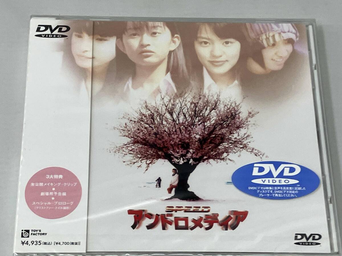 新品】新品90sスピードSPEEDアイドル スタッフTシャツLデッドストック