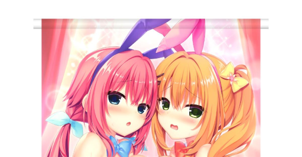 新品】ハミダシクリエイティブ ソフマップ特典B2タペストリー 和泉妃愛