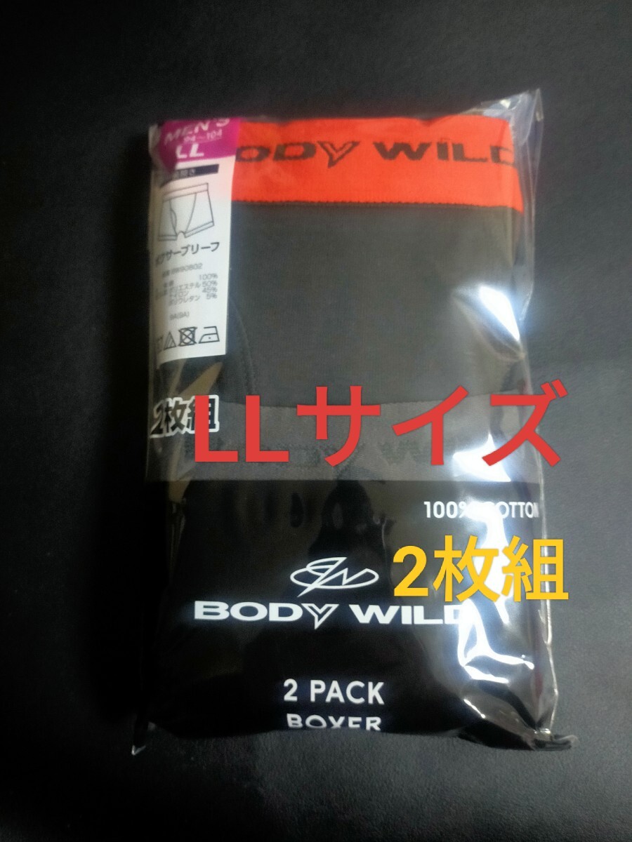 新品】桐谷美玲 グンゼ 下着 ポスター (GUNZE) BODY WILD B2 未使用品