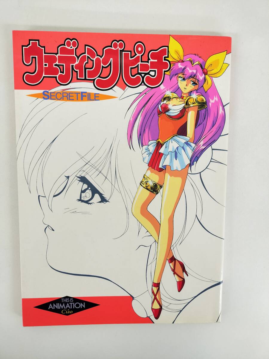 当時物 1996年 愛天使伝説 ウェディングピーチDX OVA第1弾 愛天使復活
