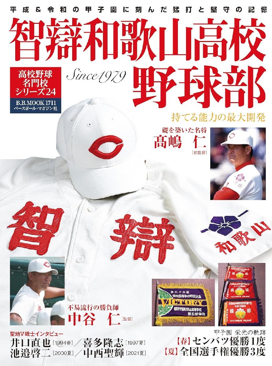 智辯和歌山 甲子園用Vジャン Lサイズ 高校野球 甲子園の落札情報詳細