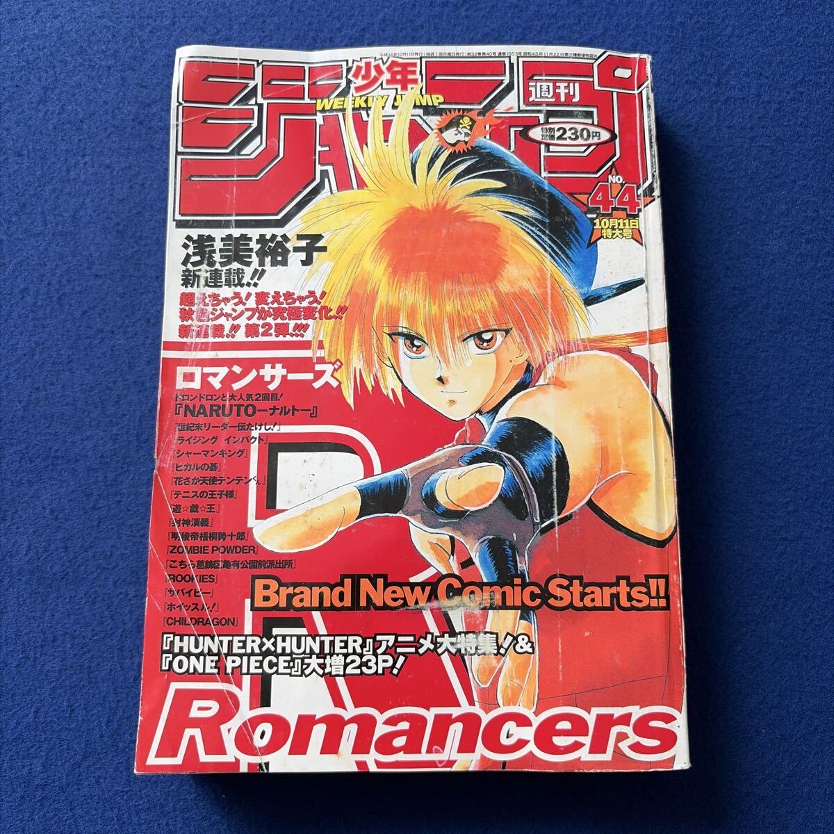 ☆浅美裕子｜集英社｜ジャンプ・コミック｜ワイルドハーフ WILD HALF
