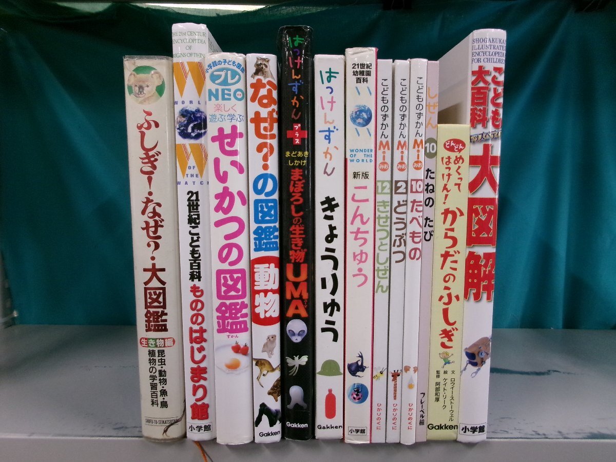 中古】「小学館 21世紀こども百科+図鑑NEO」14巻 「宇宙館」「歴史館