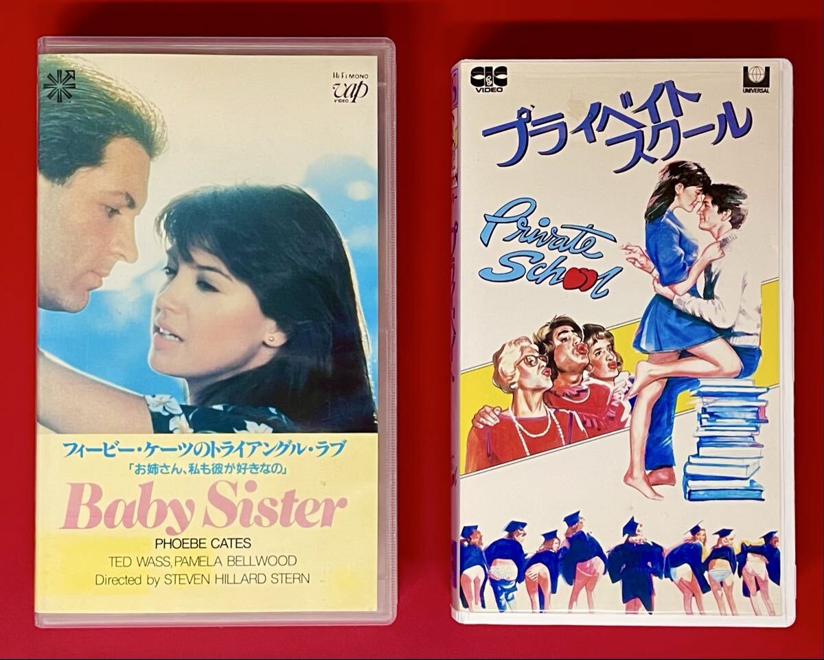 中古】フィービー・ケイツ□直筆サイン写真の落札情報詳細 - Yahoo