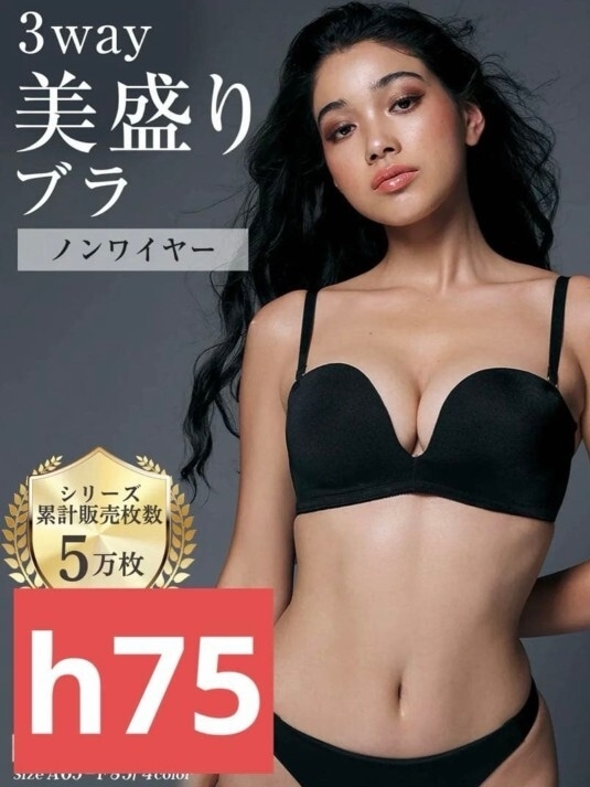 ☆藤井リナ☆Reinest2016 Laguna Moon2009カタログ2冊 下着 水着の落札