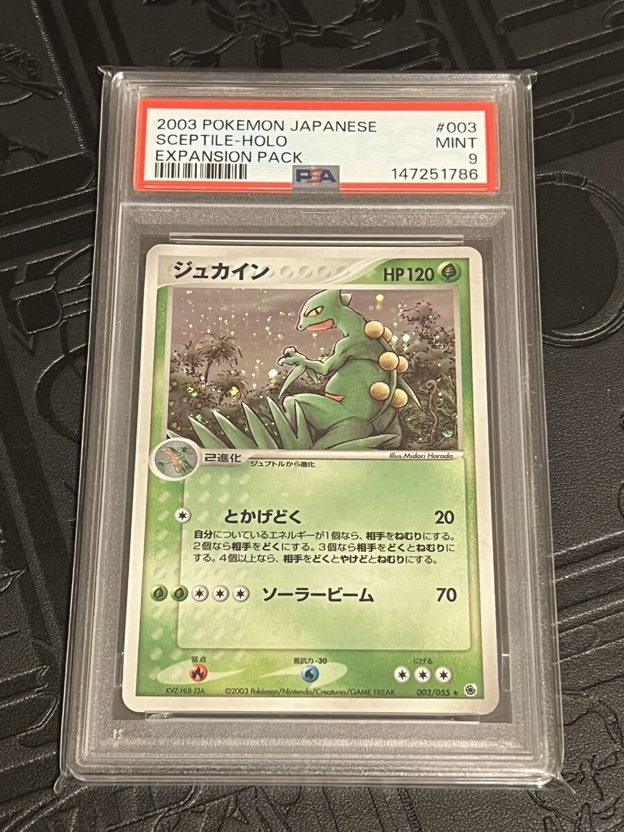 中古】ポケモンカード SM7 キモリ ジュプトル ジュカイン 進化セットの